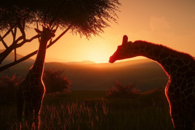 Planet Zoo Mastery: How to Build and Manage Your Zoo Like a Pro